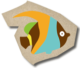 西表島観光ツアー