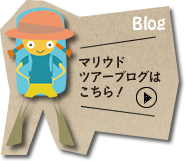 西表島カヌーツアー