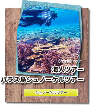 西表島キャンプ