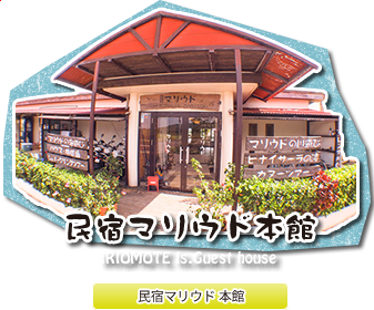 西表島カヌー人気